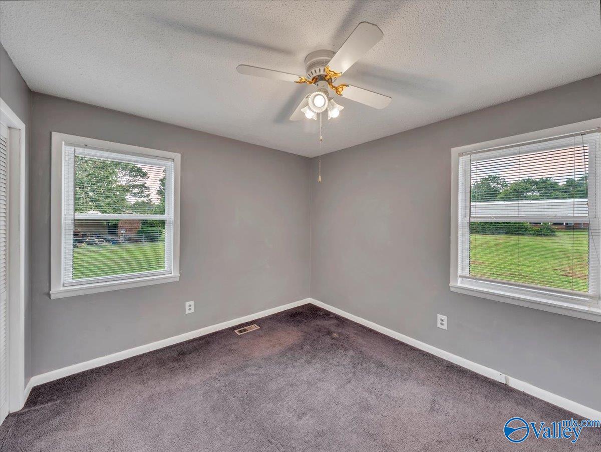 44 Vernon Street, Fyffe, Alabama image 21