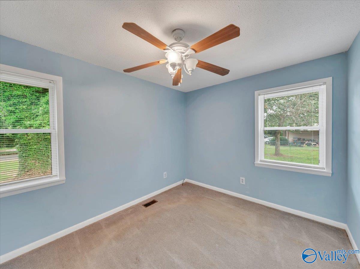 44 Vernon Street, Fyffe, Alabama image 20