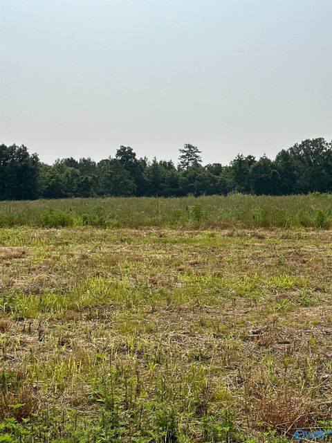 Vacant Land For Sale - TRACT 35 Hays Mill Road<br/> Limestone County, Elkmont, AL 35620
