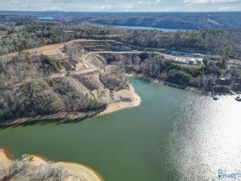 1080 County Road 337 Crane Hill AL 35057