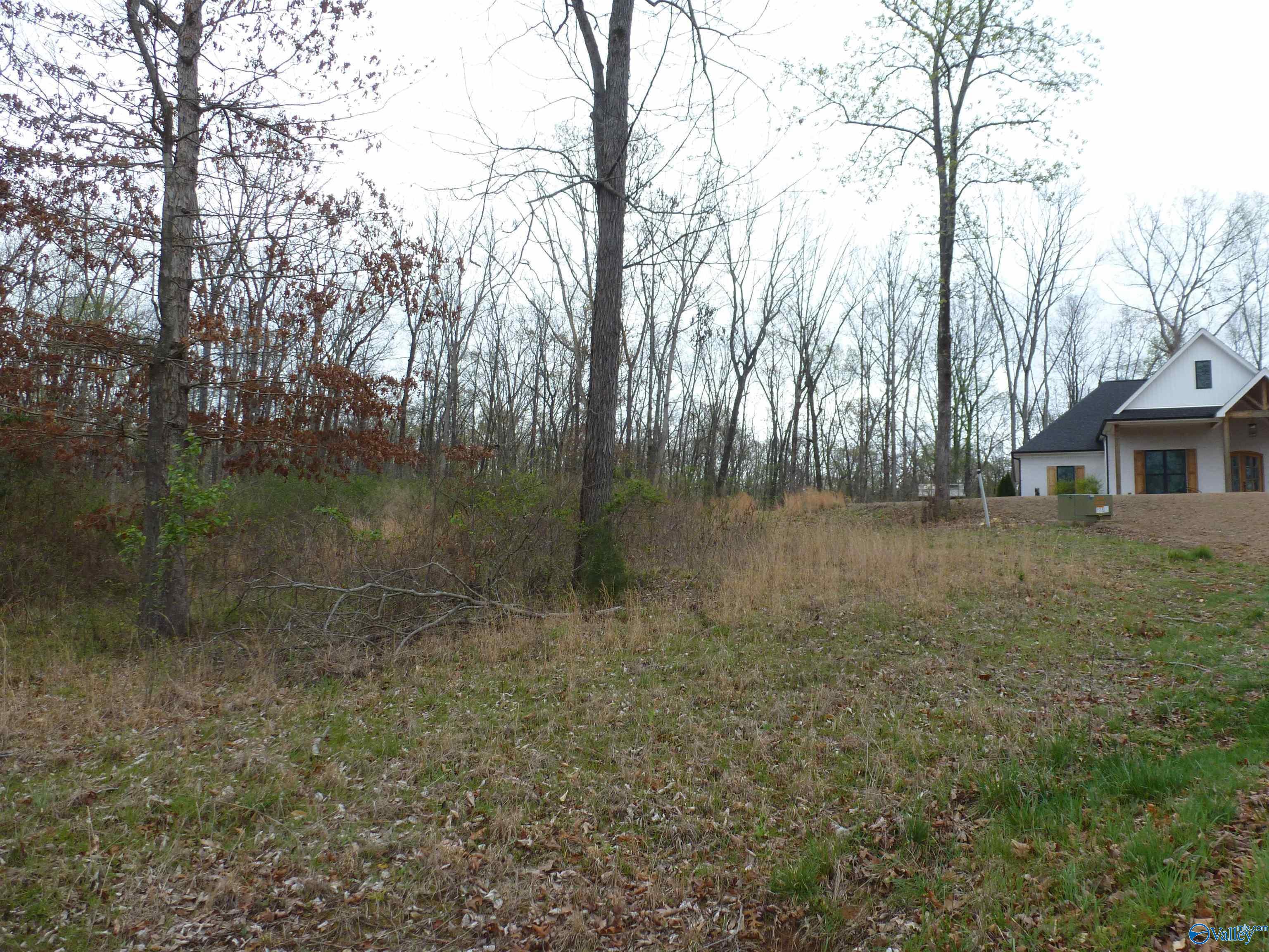 .50 Stone Run, Killen, Alabama image 2