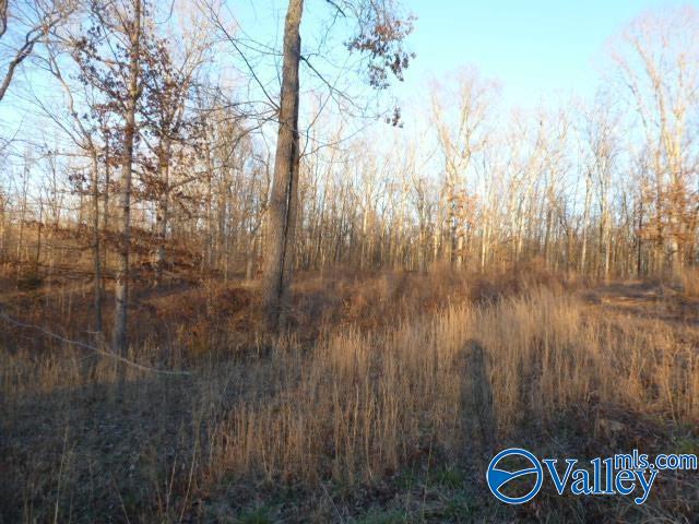 .50 Stone Run, Killen, Alabama image 6