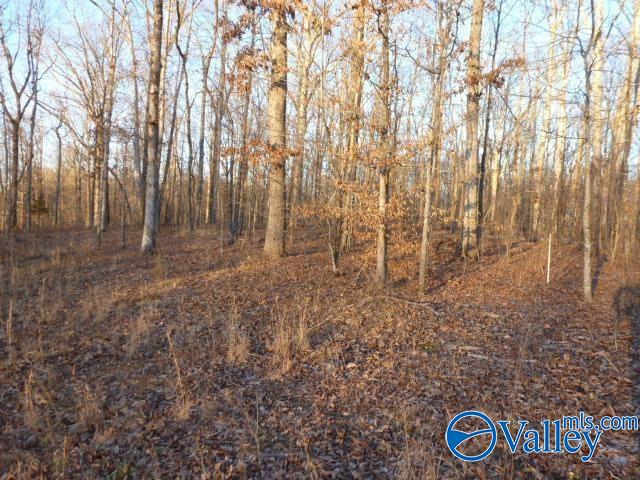 .50 Stone Run, Killen, Alabama image 7