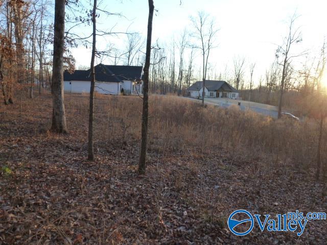 .50 Stone Run, Killen, Alabama image 1