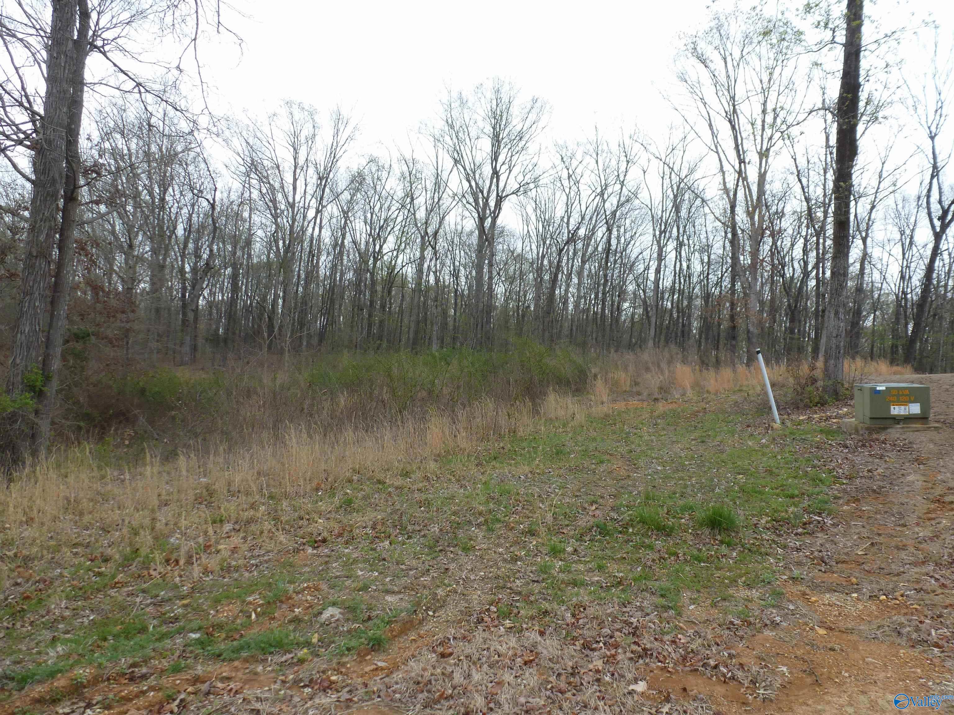 .50 Stone Run, Killen, Alabama image 4