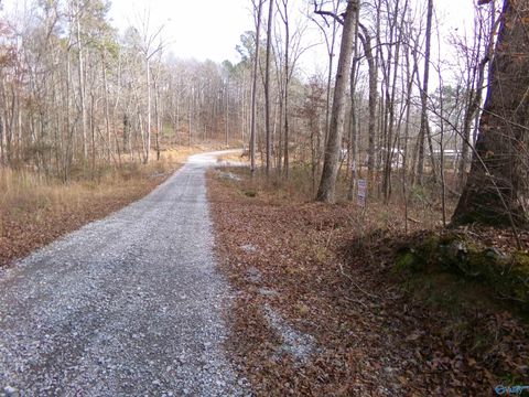 Vacant Land For Sale - LOT 41 County Road 243<br/> Cherokee County, Cedar Bluff, AL 35959
