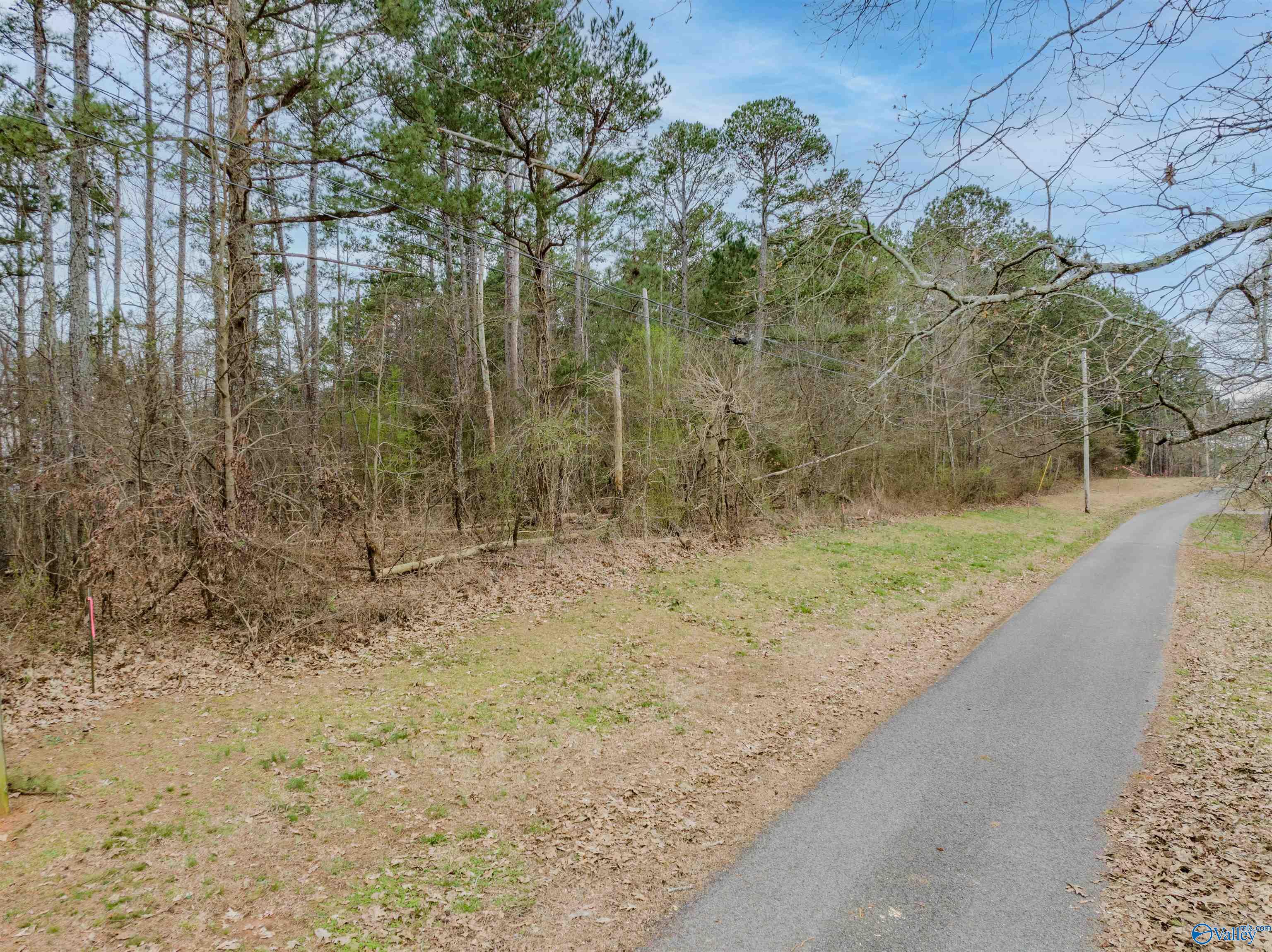 1615 Cardessa Lane, Grant, Alabama image 8