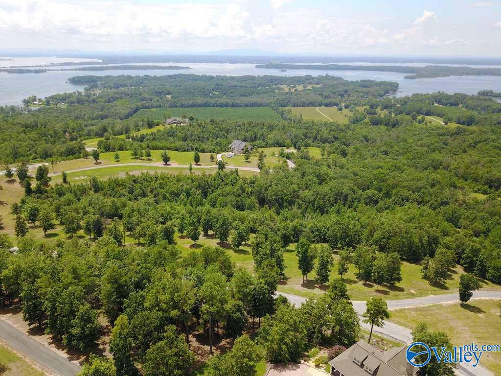 Lot 214 County Road 1022 #214, Cedar Bluff, Alabama image 2