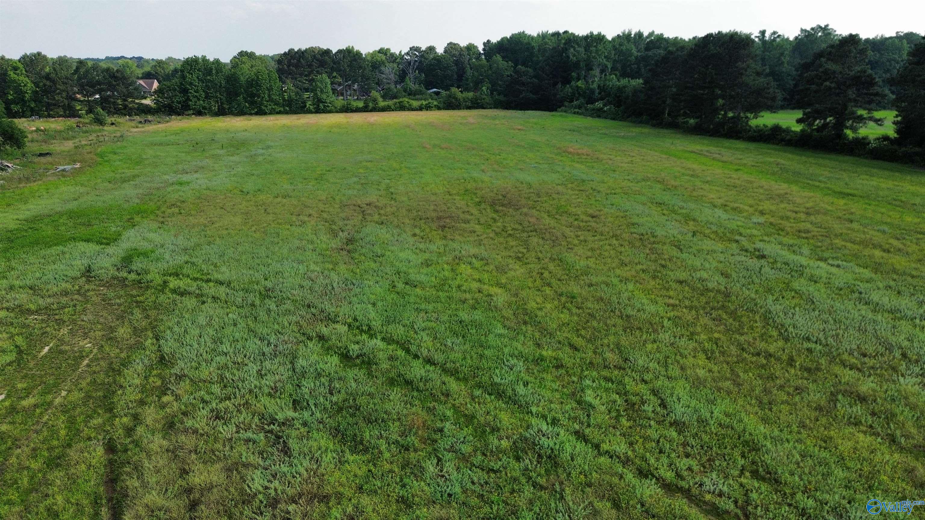Tract 3 Bethel Road, Elkmont, Alabama image 7