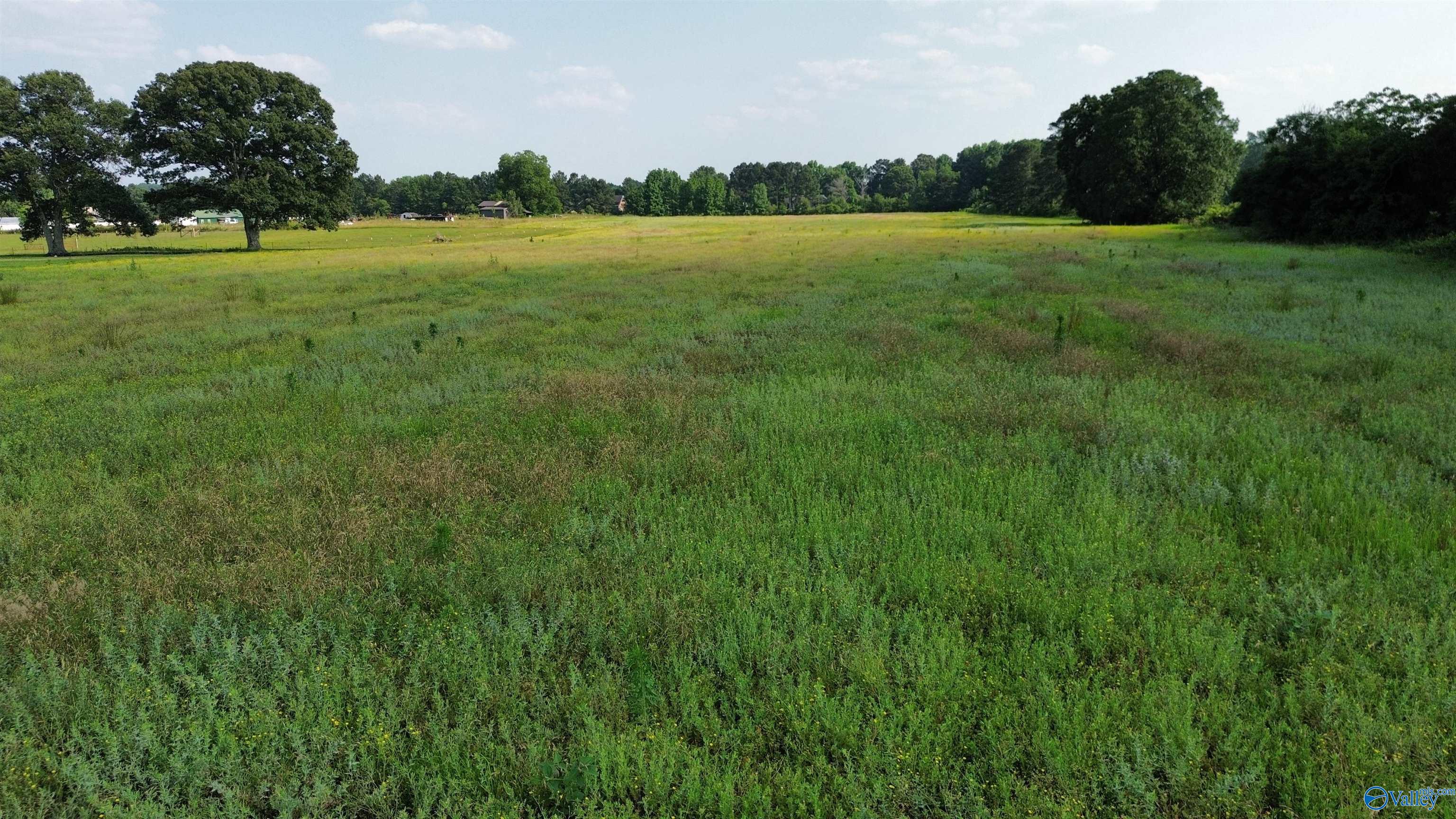 Tract 3 Bethel Road, Elkmont, Alabama image 10