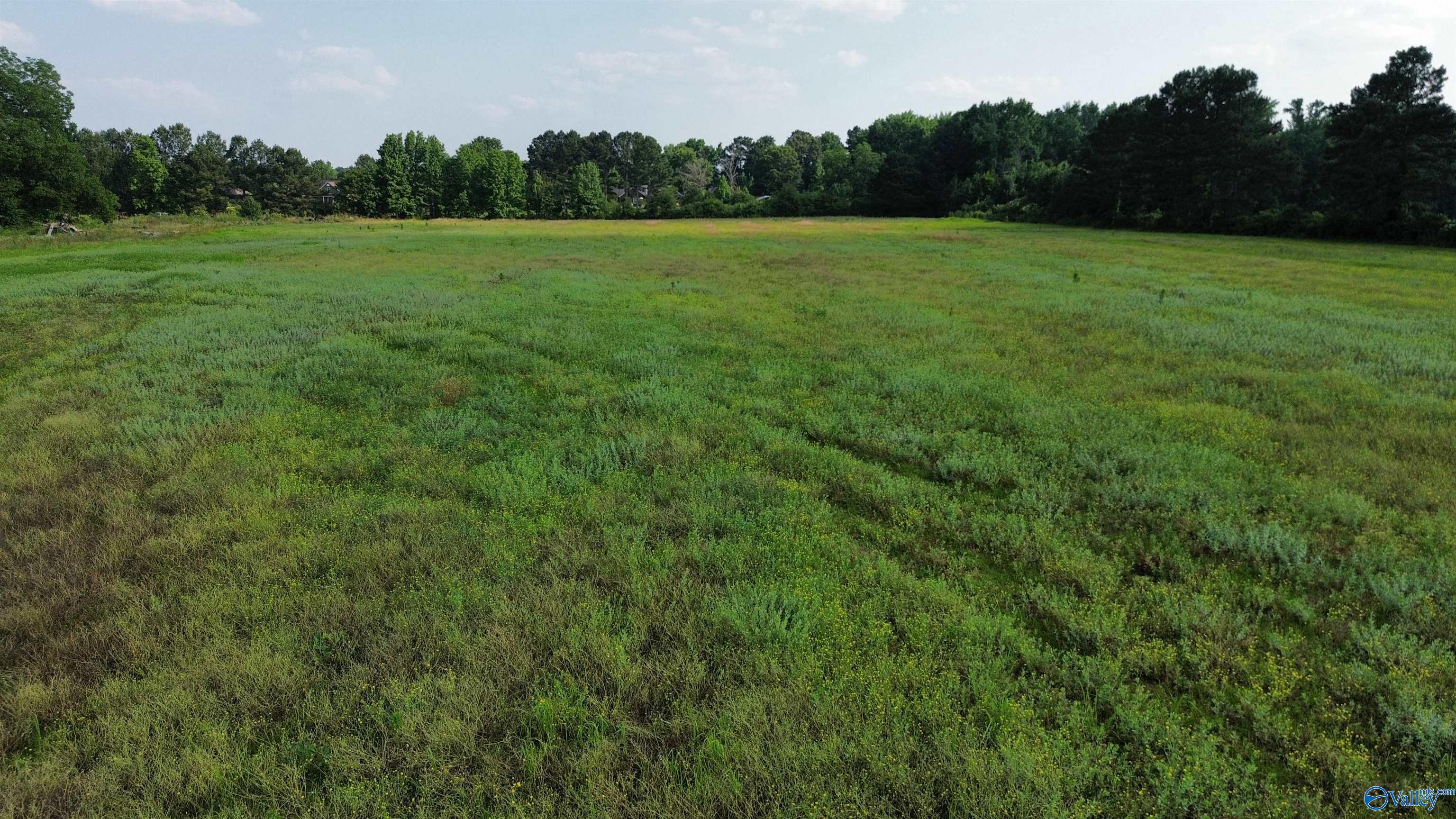 Tract 3 Bethel Road, Elkmont, Alabama image 8