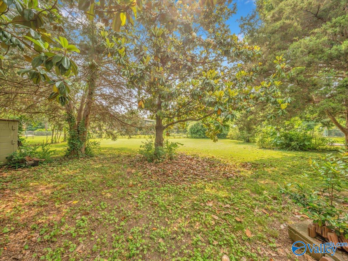 11022 Strong Drive, Huntsville, Alabama image 19