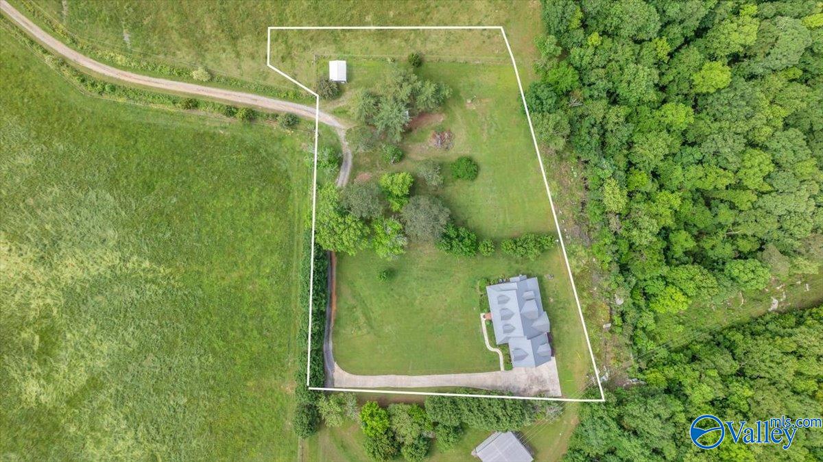 5621 County Road 265, Section, Alabama image 19