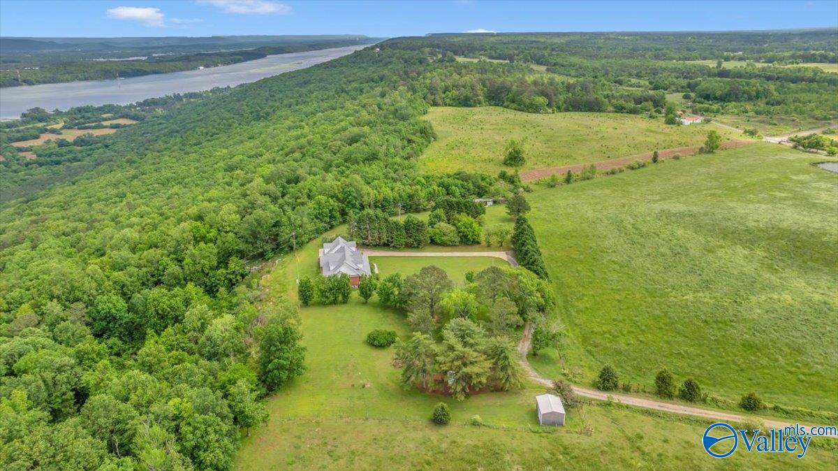 5621 County Road 265, Section, Alabama image 28