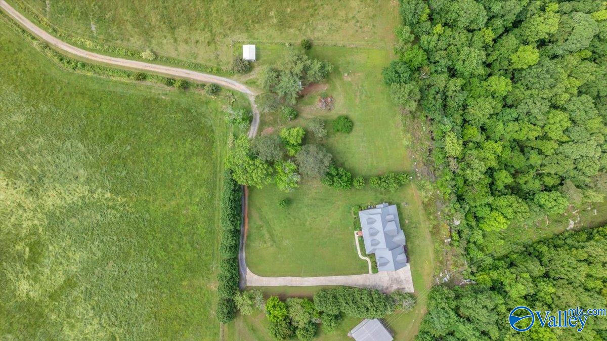 5621 County Road 265, Section, Alabama image 25