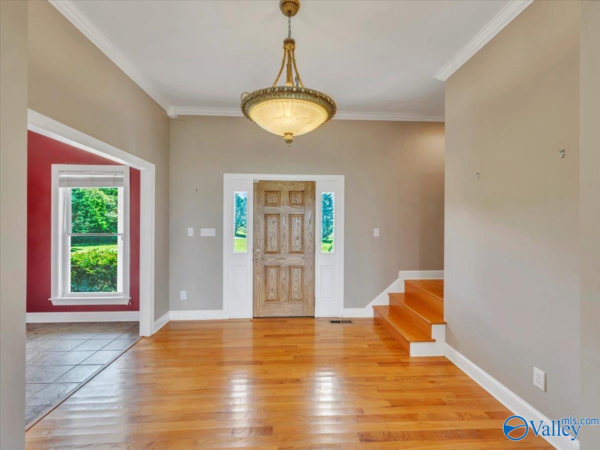 5621 County Road 265, Section, Alabama image 14