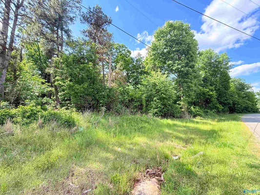 22 WATER TANK RD, UNION GROVE, AL 35175 - Image 8d3efbe77a5d3a1f583dc433ac7eee1a/3329367593