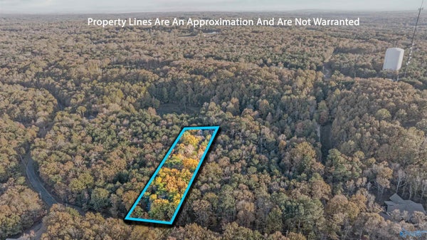 LOT 7 COUNTY ROAD 166, FORT PAYNE, AL 35967 - Image 8d594bbcd14390dc94480cf8475e483f/2485291009