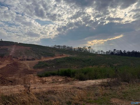 Vacant Land For Sale - 18+- ACRES County Road 6<br/> Cherokee County, Piedmont, AL 36272