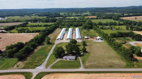 4864 Highway 55 Danville AL 35619