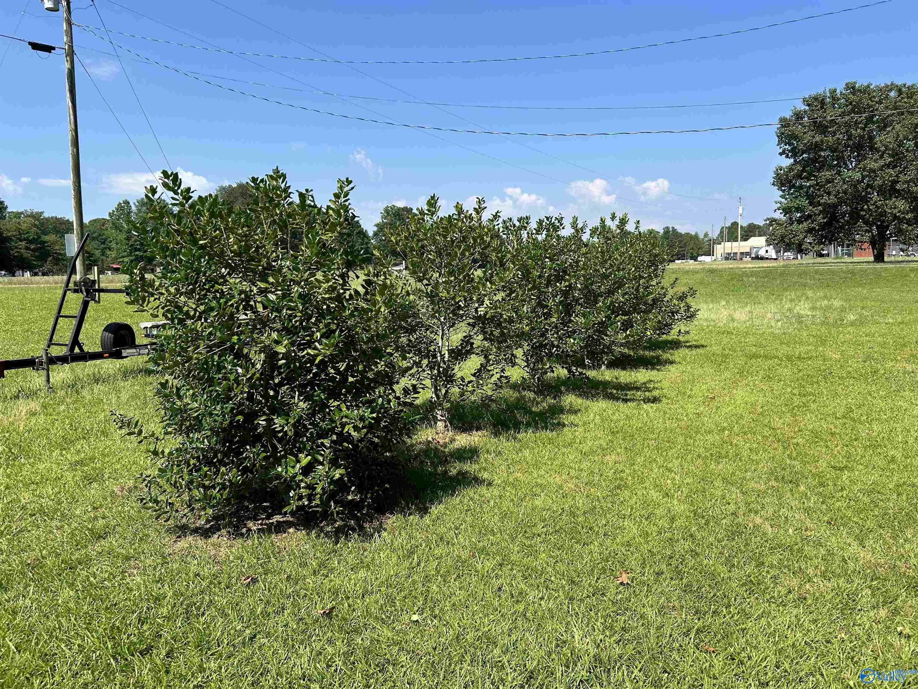 Lot 70 County Road 508, Centre, Alabama image 14