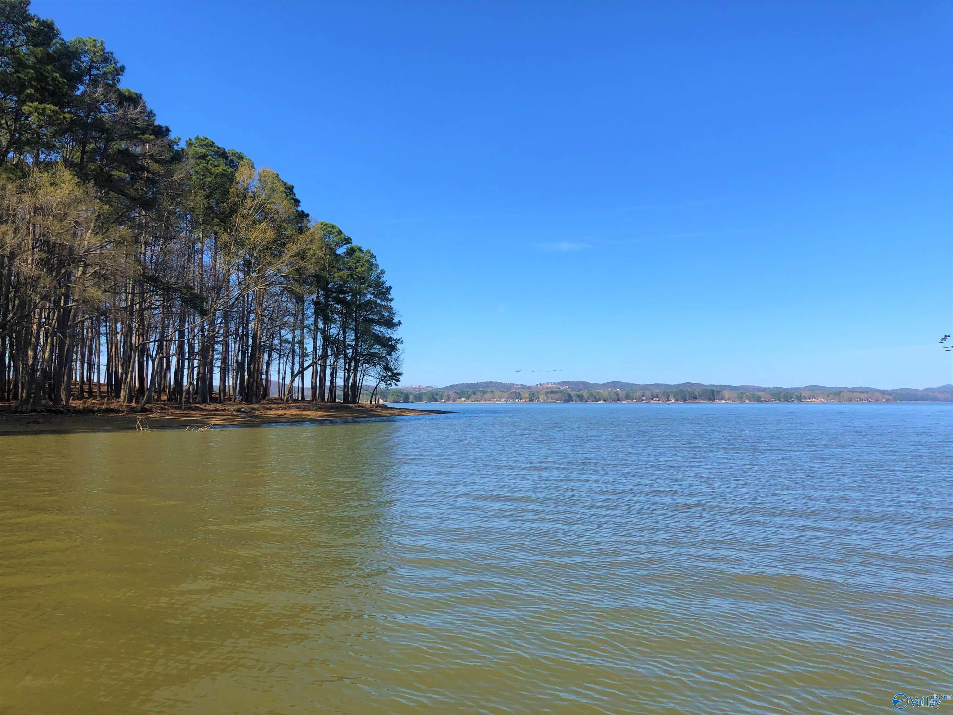 Lot 18 Little River Landing, Cedar Bluff, Alabama image 3