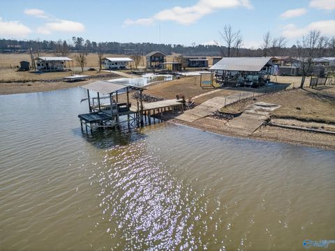 Vacant Land For Sale - 617 County Road 432<br/> Cherokee County, Centre, AL 35960