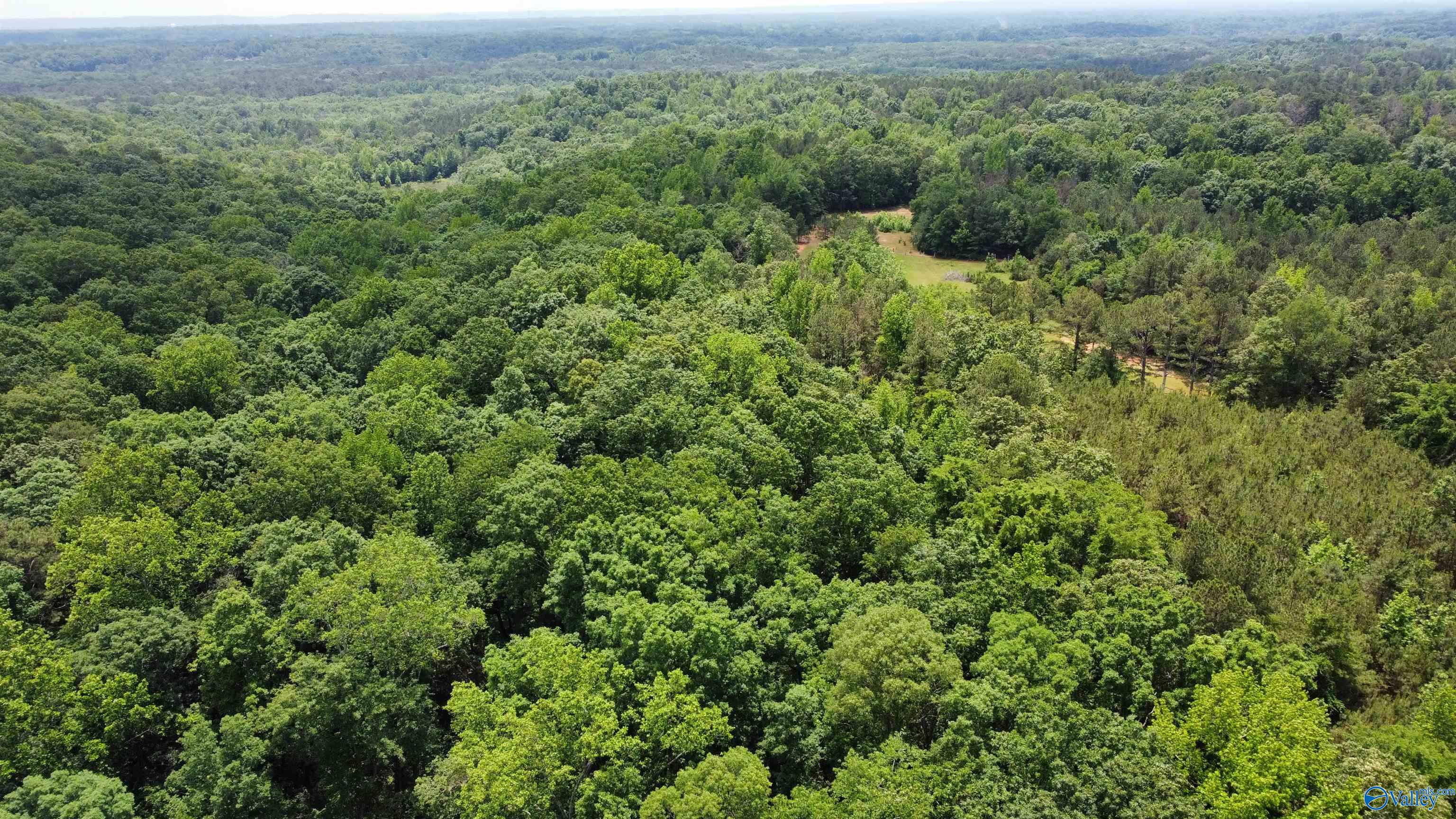 13.24 Herring Road, Hartselle, Alabama image 5