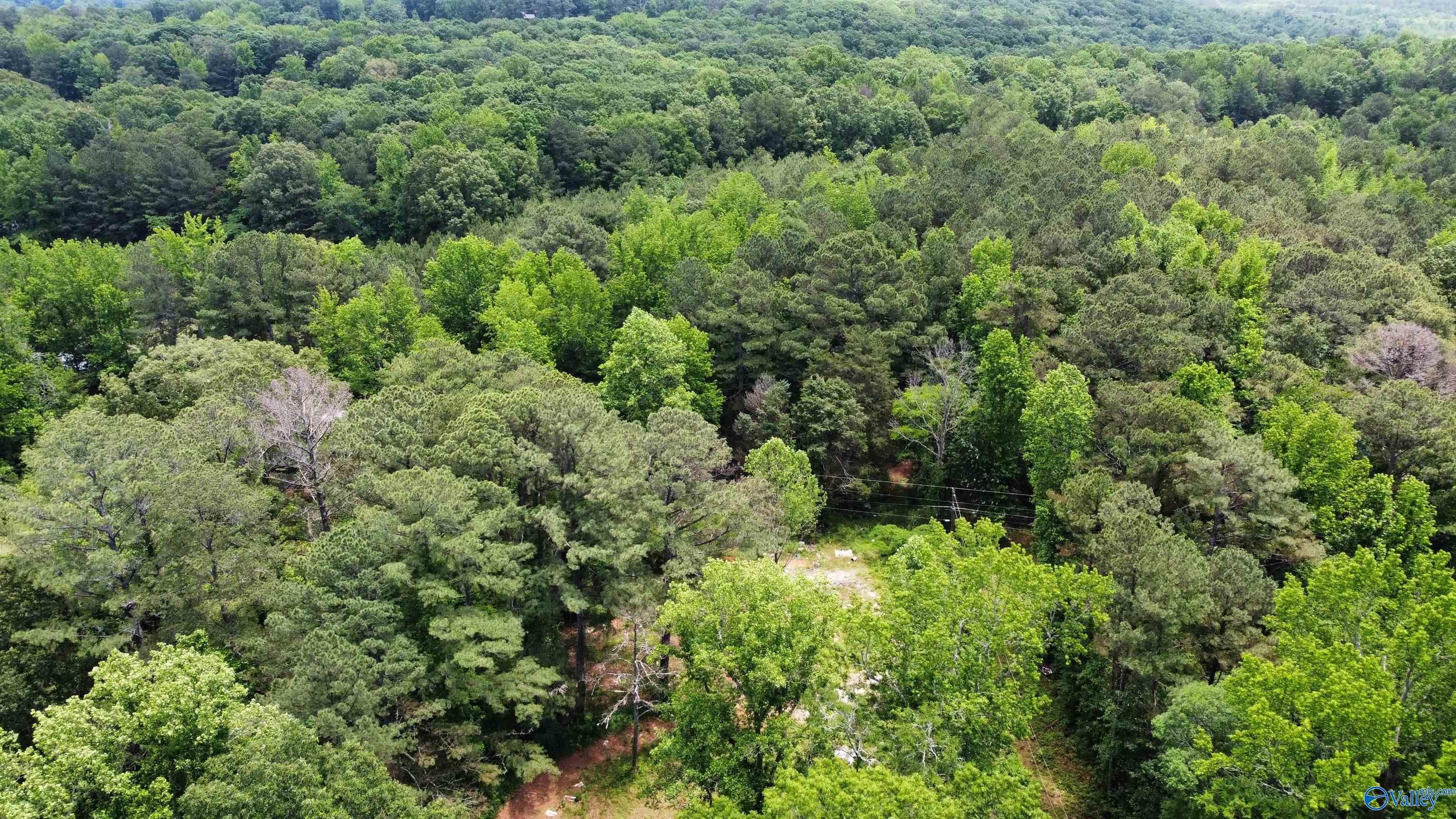 13.24 Herring Road, Hartselle, Alabama image 2
