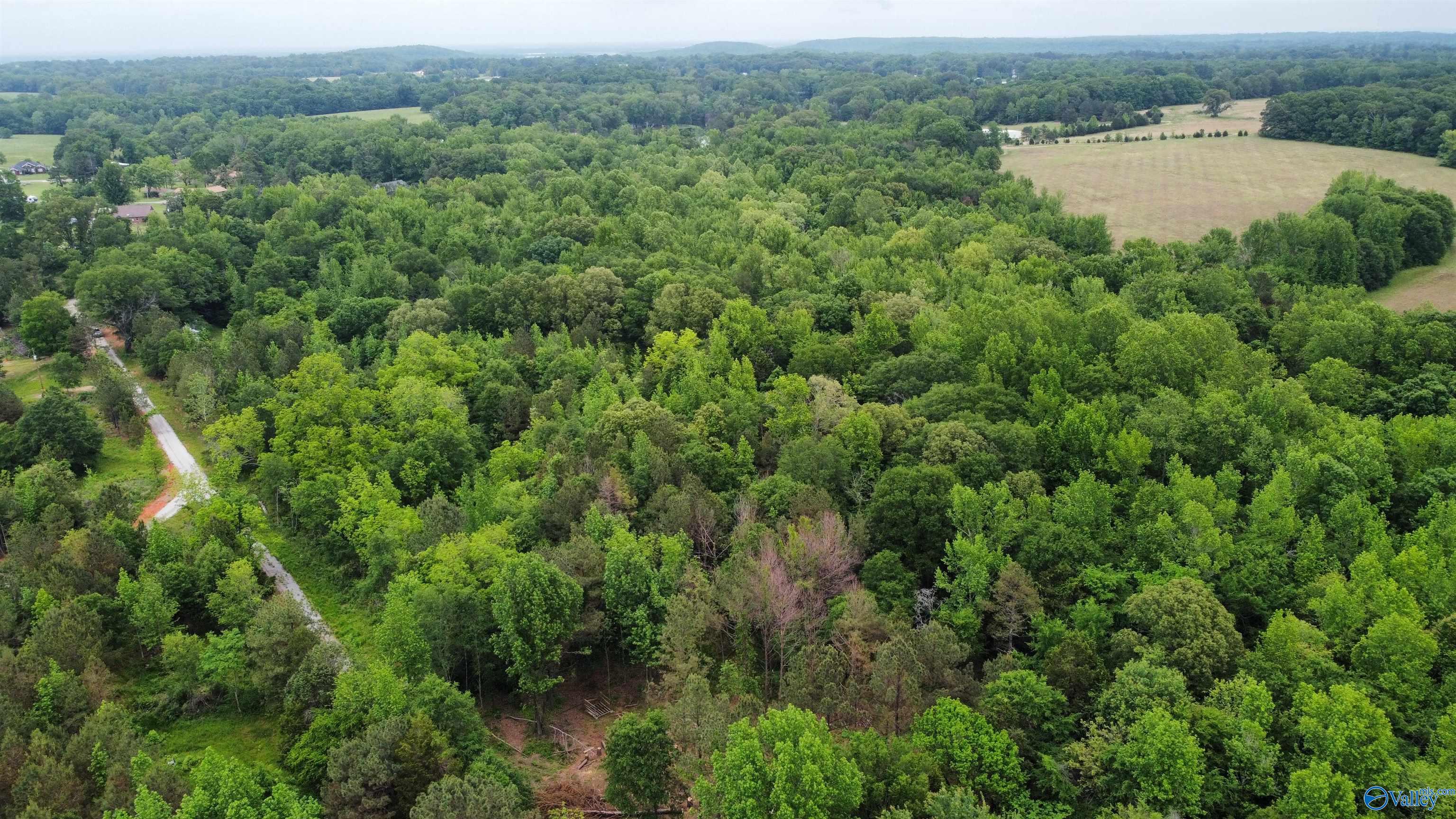 13.24 Herring Road, Hartselle, Alabama image 7