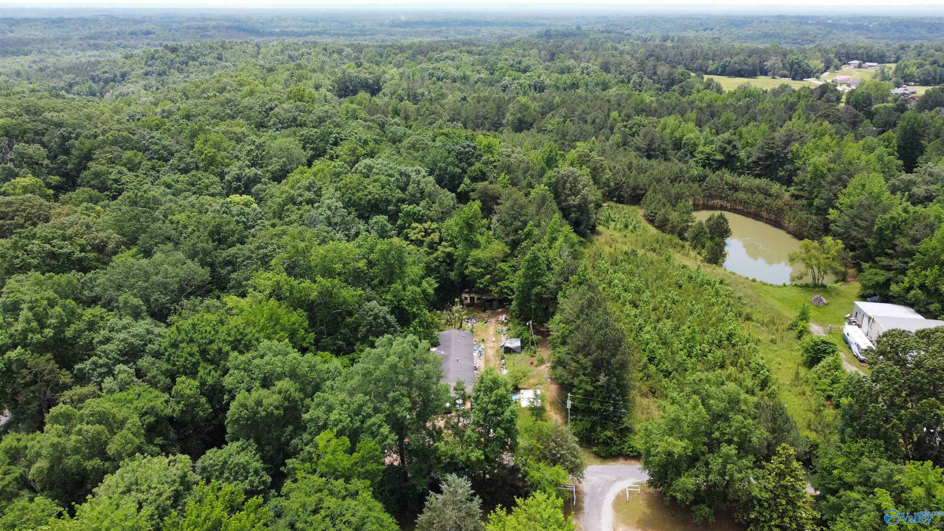 13.24 Herring Road, Hartselle, Alabama image 4