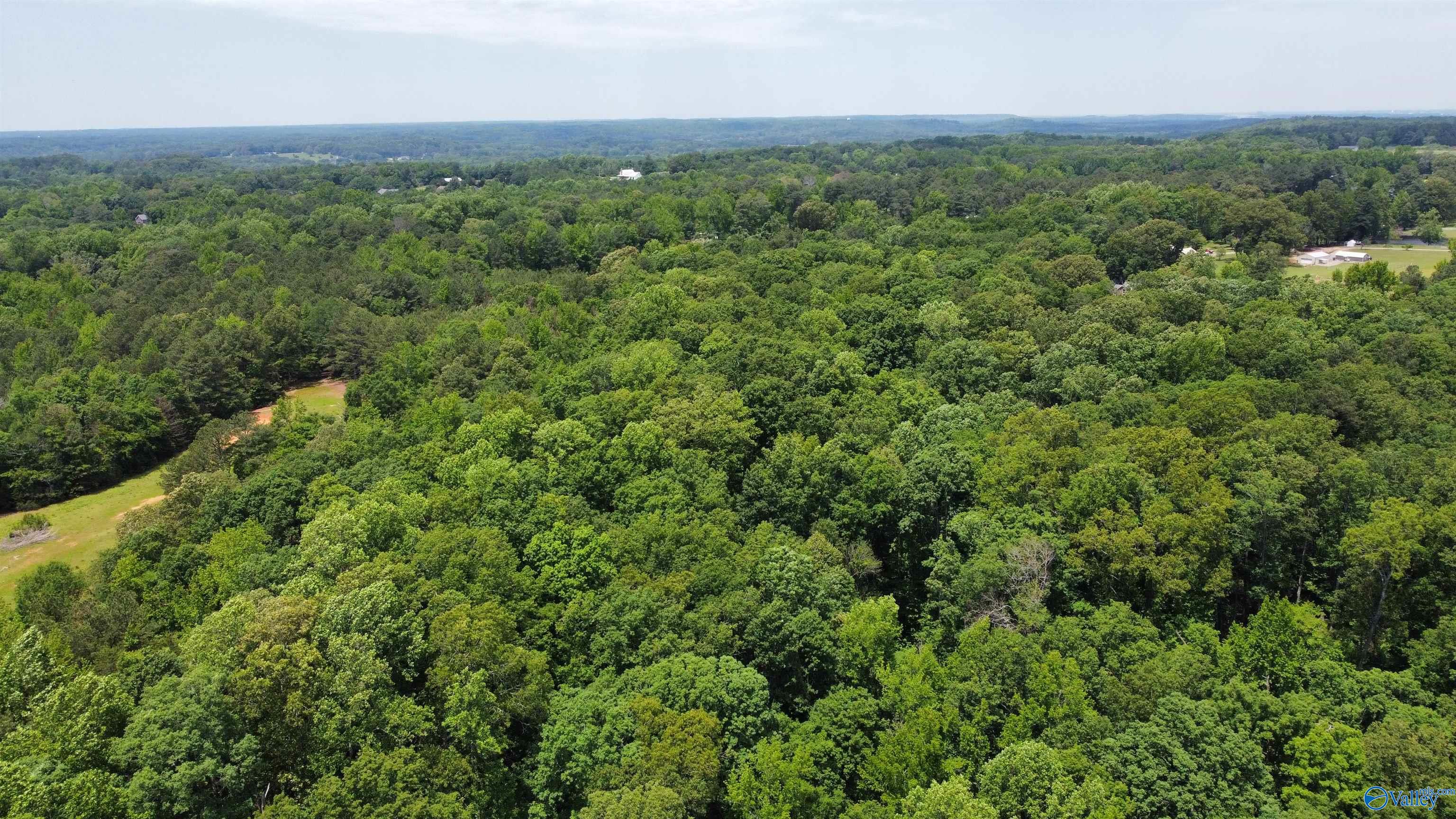 13.24 Herring Road, Hartselle, Alabama image 3