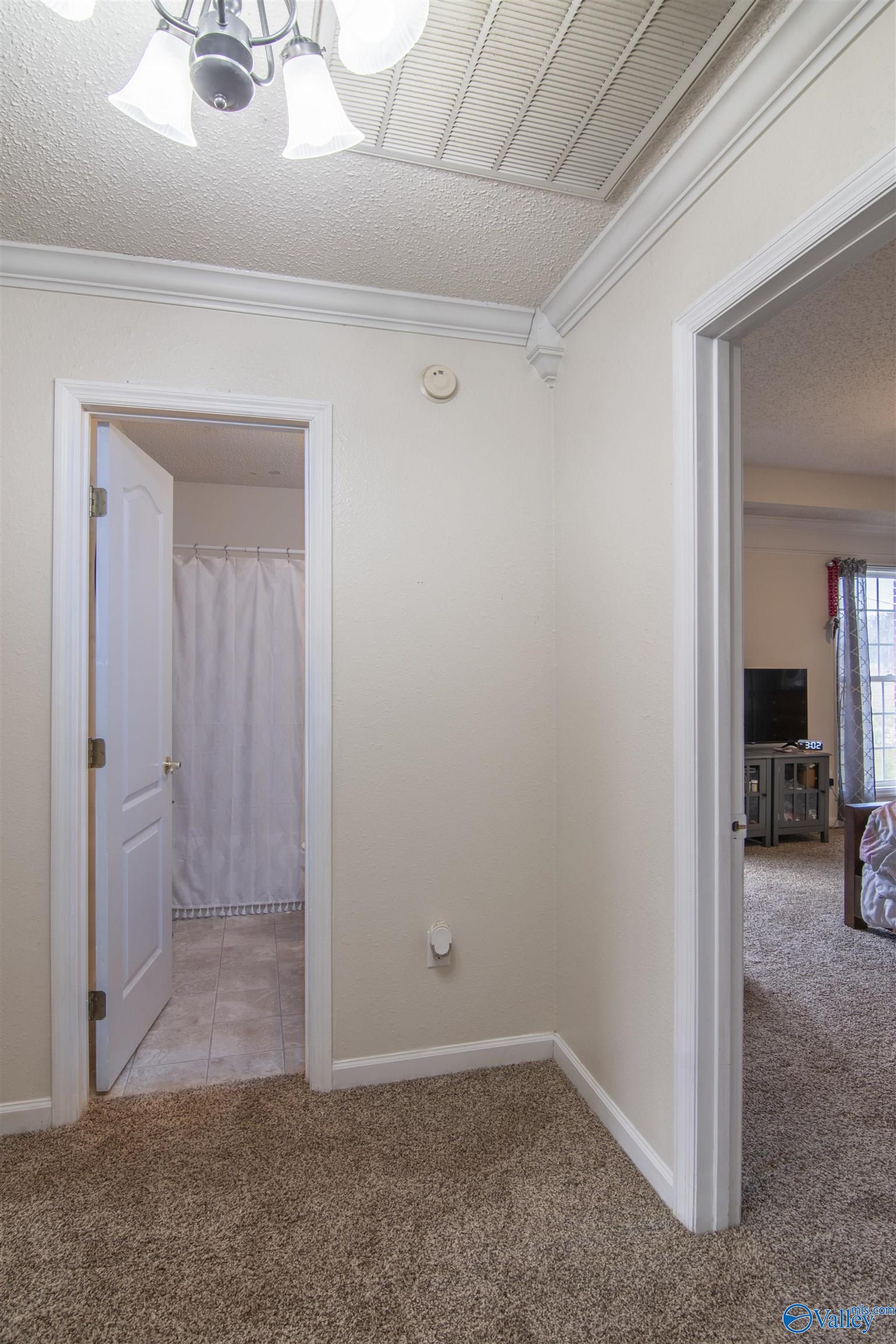 101 Drake Down Circle, Toney, Alabama image 22
