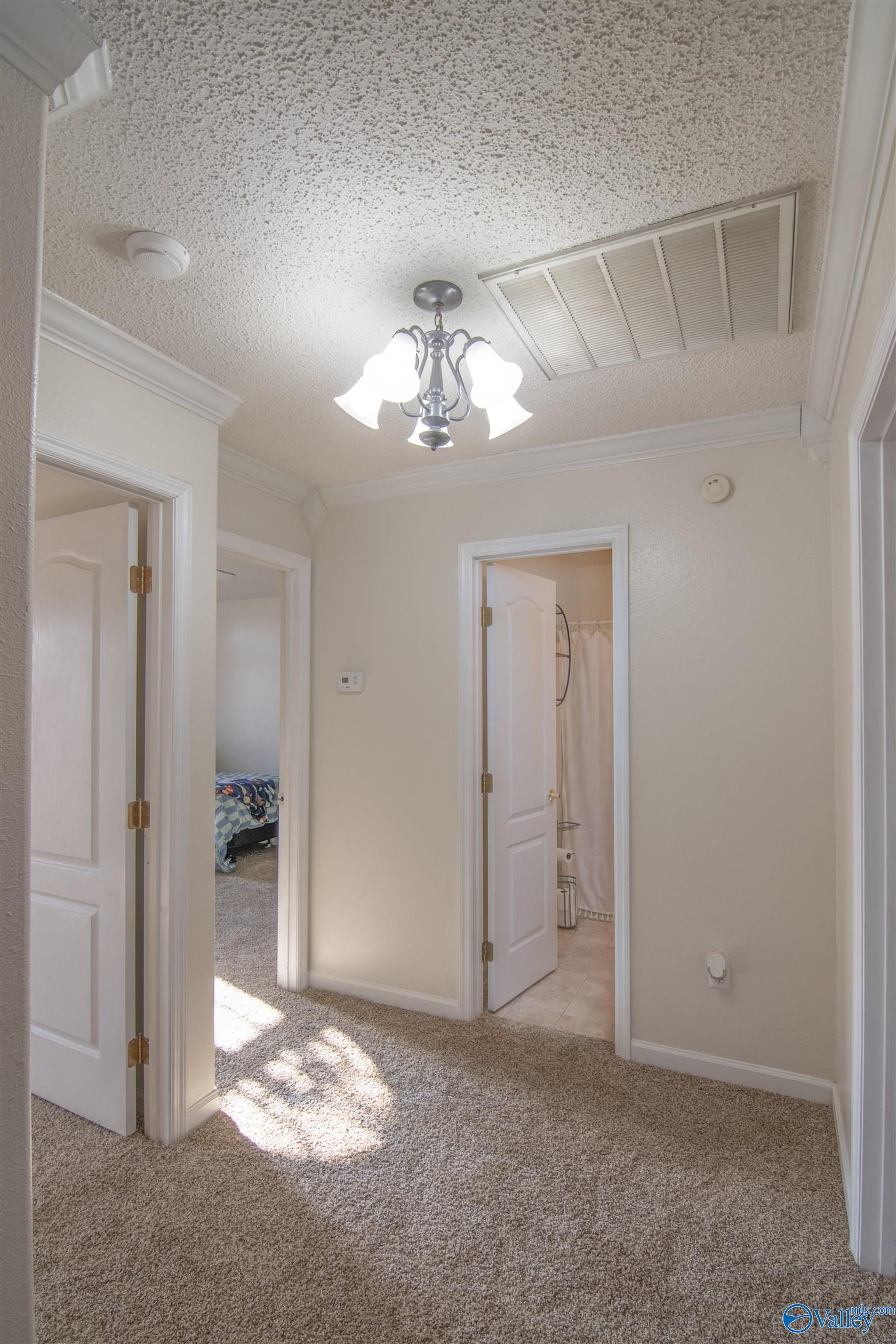 101 Drake Down Circle, Toney, Alabama image 15