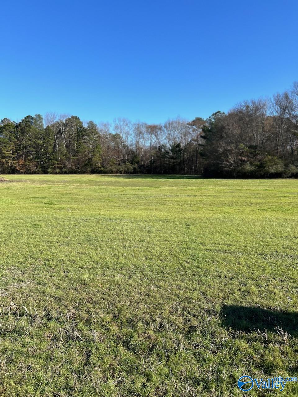 22.6 Acres Berkley Road, Gurley, Alabama image 1