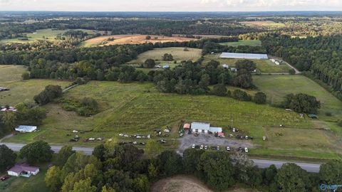 Vacant Land For Sale - 28 ACRES Us Highway 278<br/> Blount County, Blountsville, AL 35031