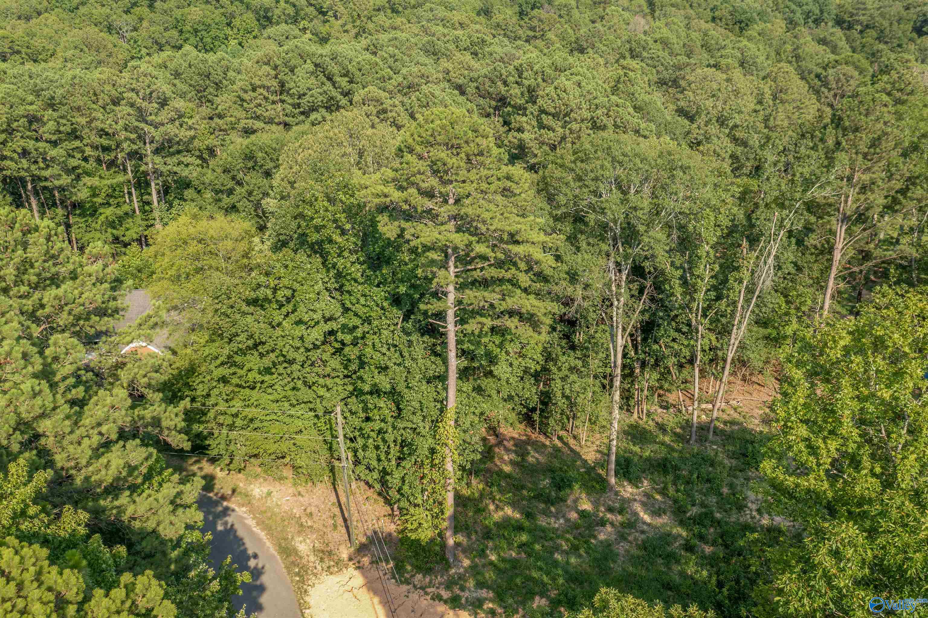 0.70 Acres S Berkley Hills Drive, Southside, Alabama image 3