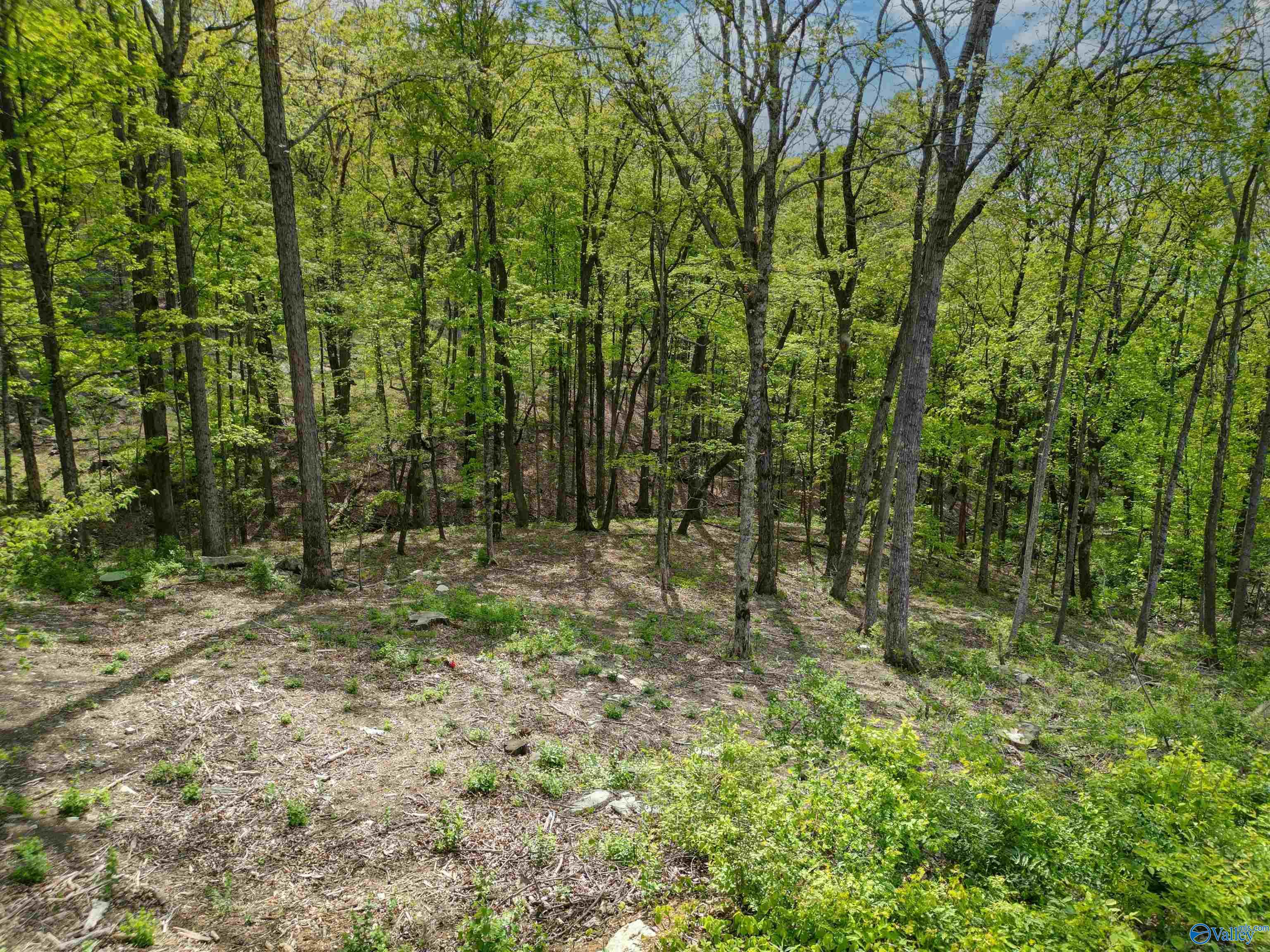1298 Castlegate Blvd, Huntsville, Alabama image 4