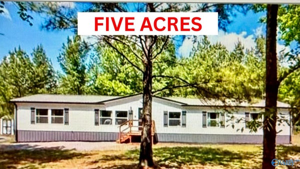 4497 COUNTY ROAD 159, FLAT ROCK, AL 35966 - Image 8e155fc3cc8fa9dc8bfb9829a0aec8a5/2887603681