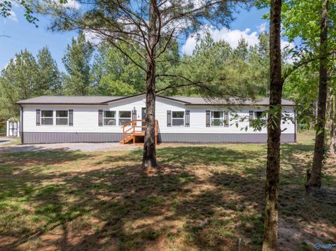 Mobile Home For Sale - 4497 County Road 159<br/> Dekalb County, Flat Rock, AL 35966