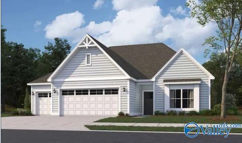 242 Bluebonnet Street Toney AL 35773