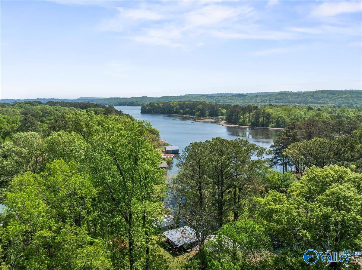 1671 Point Of Pines, Guntersville, Alabama image 14