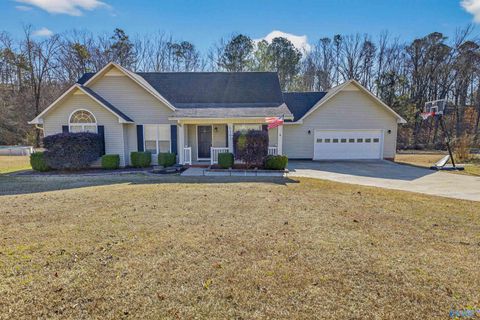 Photo of 6197 Vista Trail, Southside, AL 35907 (MLS # 21909591)