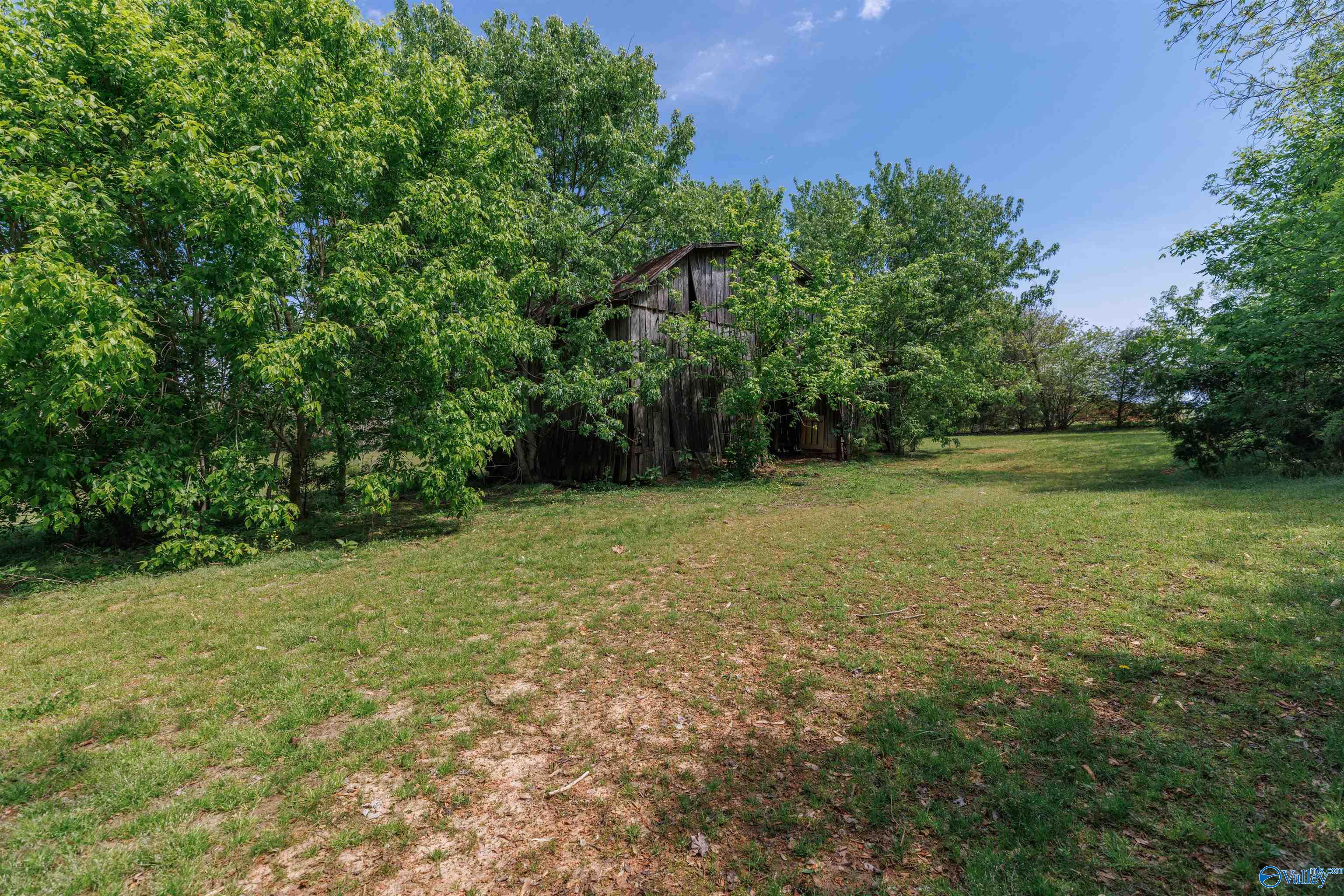 1507 Joe Quick Road, New Market, Alabama image 27