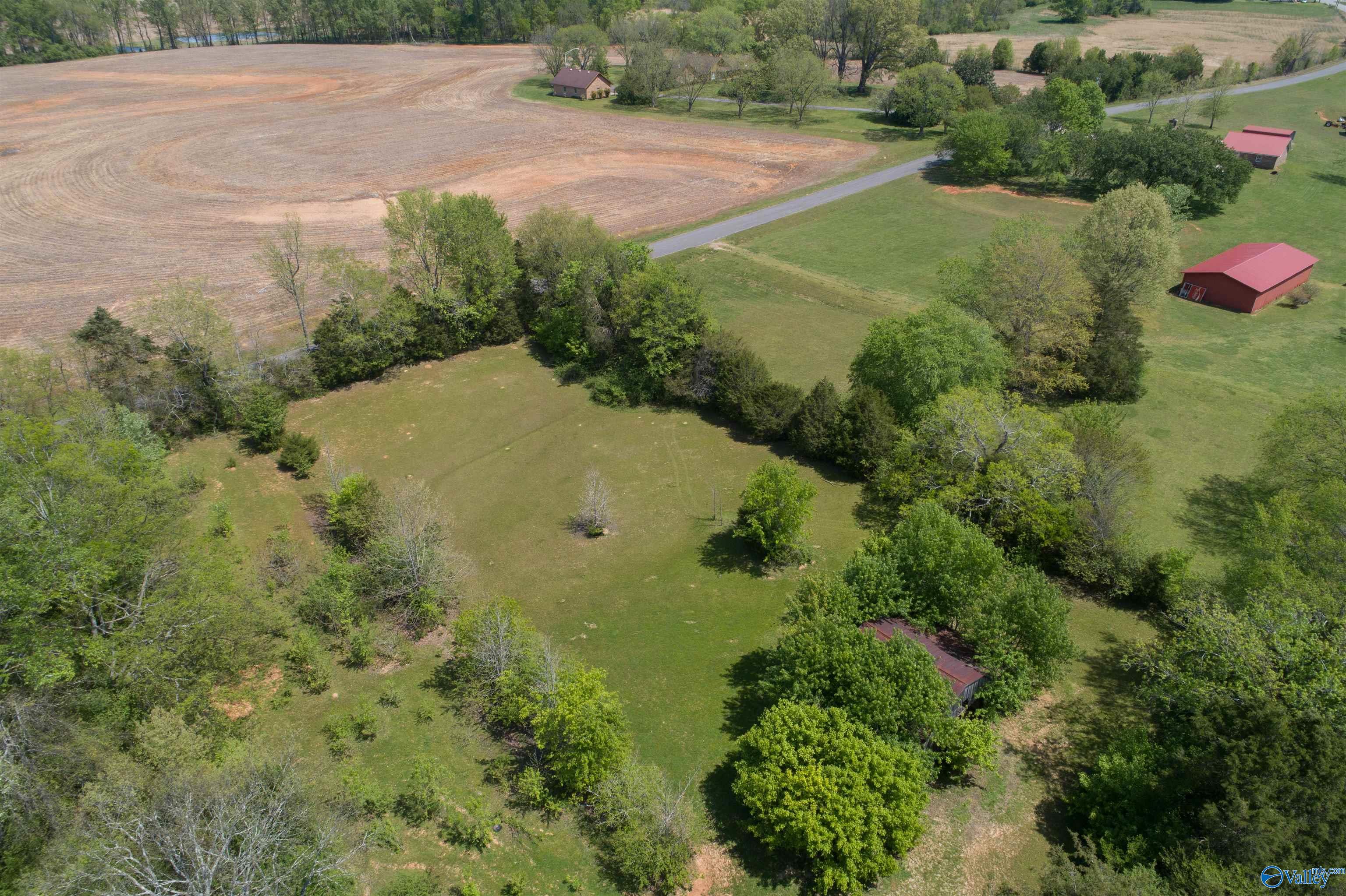 1507 Joe Quick Road, New Market, Alabama image 38