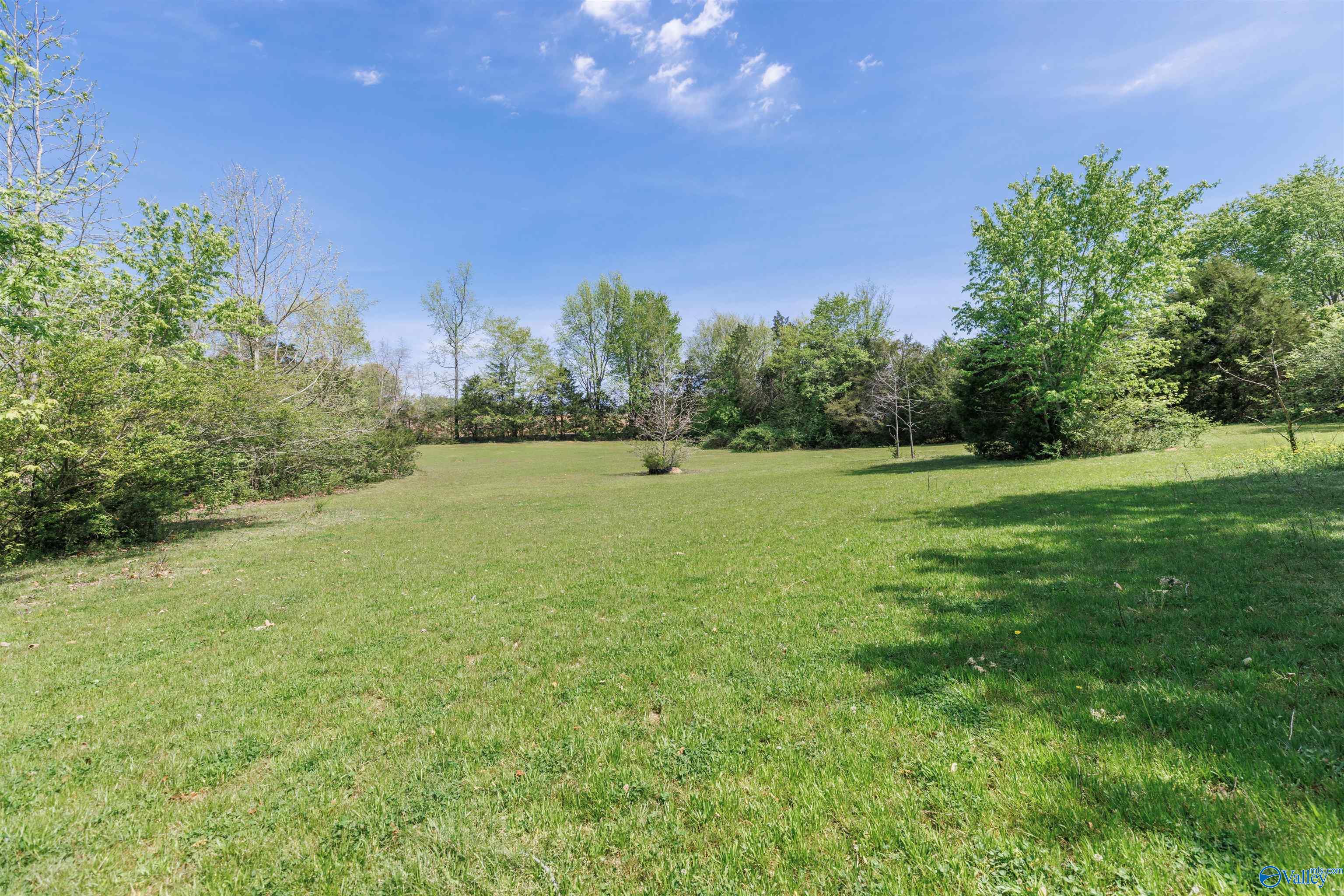 1507 Joe Quick Road, New Market, Alabama image 28
