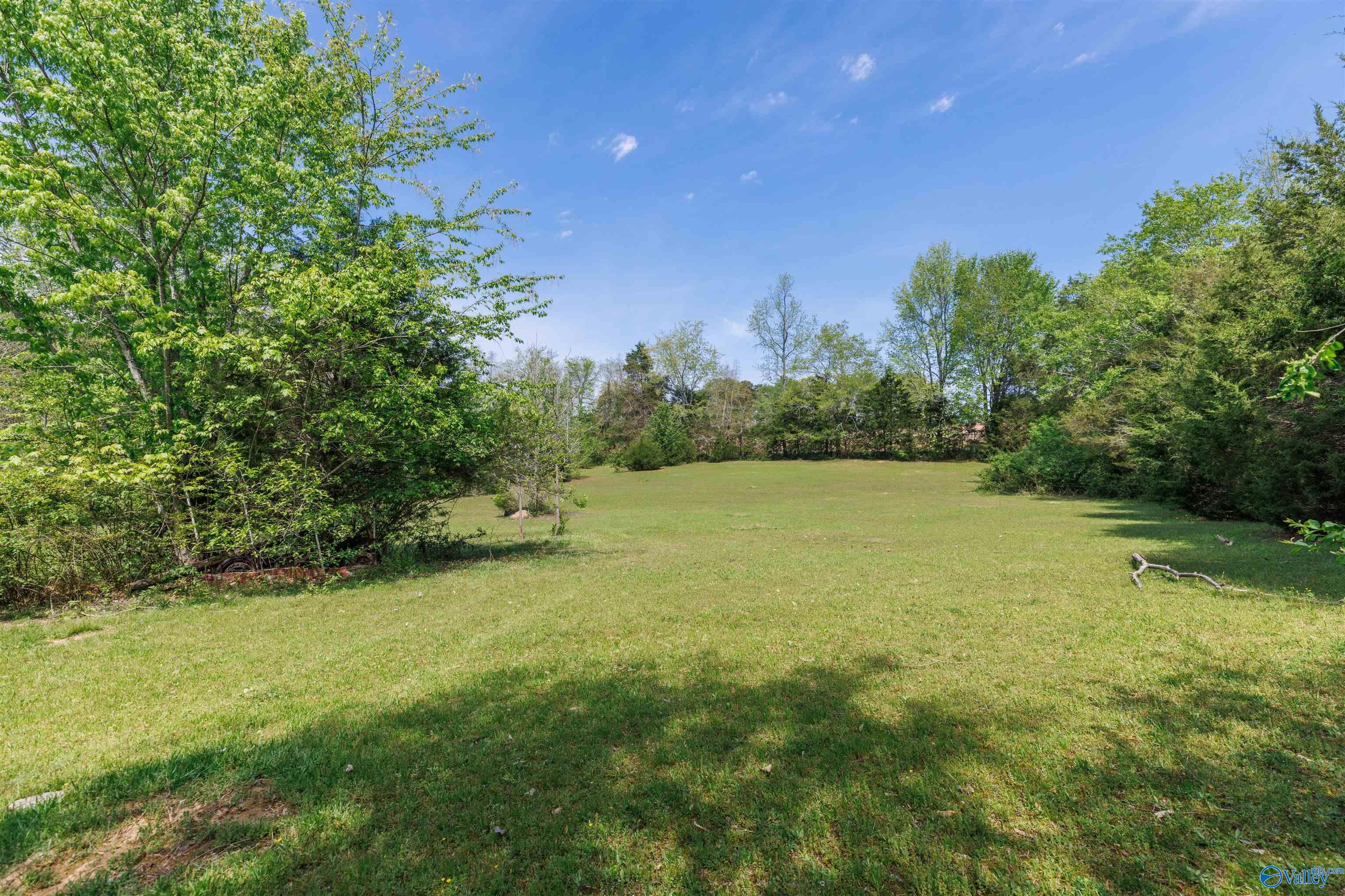 1507 Joe Quick Road, New Market, Alabama image 29