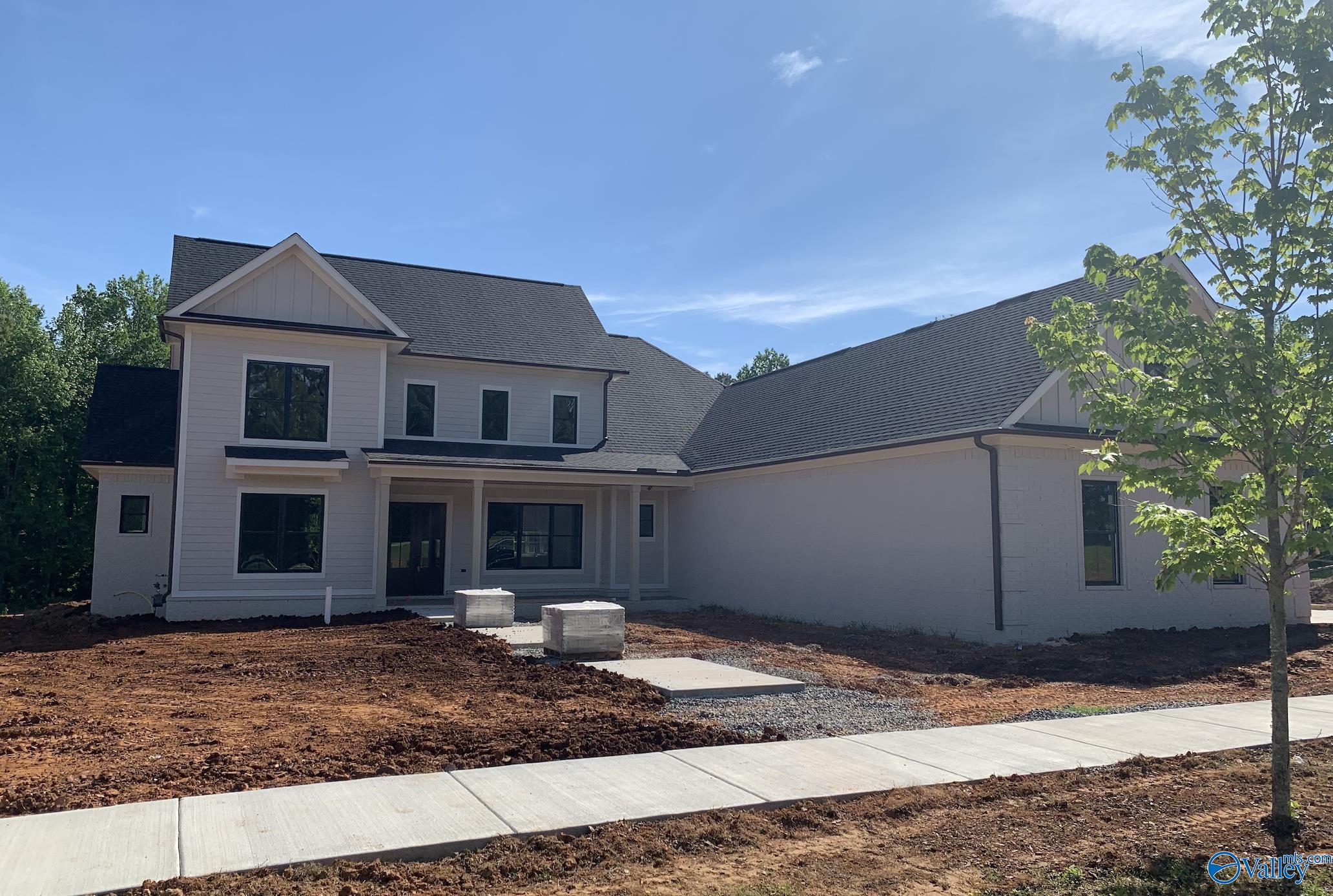 164 Madison Branch Boulevard, Madison, Alabama image 1