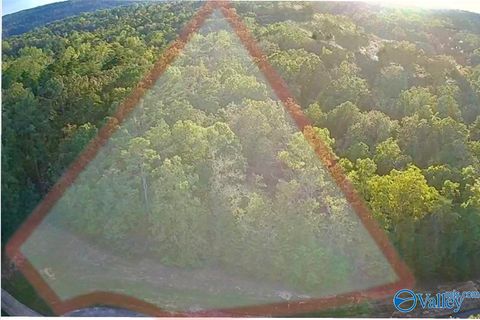 Vacant Land For Sale - LOT 232 Stoney Point Road<br/> Double Springs, AL 35553
