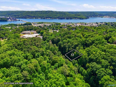 Vacant Land For Sale - LOT 13 Lusk Street<br/> Guntersville, AL 35976